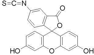 Fluorescéine isothiocyanate, isomère I, 100 mg, cas.number.title.metatag  3326-32-7, Colorants fluorescents, Coloration, Histologie/Microscopie, Life Science