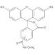 Fluorescein-OVAL (Ovalbumin) - chemical structure image