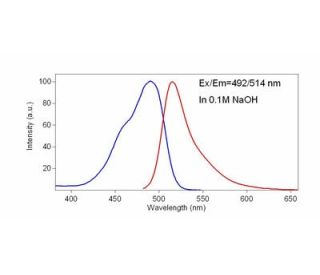 Fluoresceine sodium (C.I. 45350) CAS 518-47-8