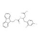 Fmoc-2,4-dichloro-L-beta-homophenylalanine (CAS 270063-49-5) - chemical structure image