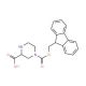 Fmoc-2-carboxypiperazine (CAS 219312-90-0) - chemical structure image