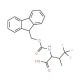 Fmoc-4,4,4-trifluoro-DL-valine (CAS 1219402-20-6) - chemical structure image