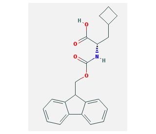 Fmoc-Ala(&beta;-cyclobutyl)-OH (CAS 478183-62-9) - chemical structure image