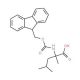 Fmoc-alpha-Me-L-Leu-OH (CAS 312624-65-0) - chemical structure image
