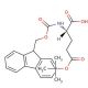 Fmoc-Glu(OtBu)-OH (CAS 71989-18-9) - chemical structure image