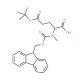 Fmoc-L-MeGlu(tBu)-OH (CAS 200616-40-6) - chemical structure image