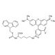 FMOC-Lys(5/6-TAMRA)-OH - chemical structure image 