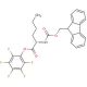 Fmoc-Nle-OPfp (CAS 121593-77-9) - chemical structure image