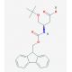 Fmoc-O-t-butyl-L-beta-homoserine (CAS 203854-51-7) - chemical structure image