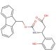 Fmoc-(R)-3-amino-3-(2-hydroxyphenyl)propionic acid (CAS 511272-34-7) - chemical structure image
