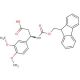 Fmoc-(R)-3-amino-3-(3,4-dimethoxyphenyl)propionic acid (CAS 511272-40-5) - chemical structure image