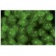 immunofluorescence image from recommended FOXP3 (2A11G9) monoclonal antibody replacement. Image 15949