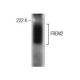 FREM2 Antibody (F-1) - Western Blotting - Image 155936 