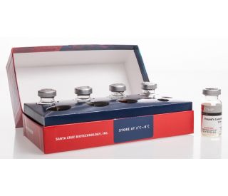 Freund's Complete Adjuvant: sc-3727...