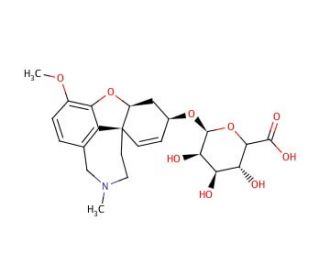 Galanthamine &beta;-D-Glucuronide (CAS 464189-56-8) - chemical structure image