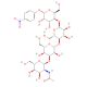 GalNAc beta(1-3)Gal alpha(1-4)Gal beta(1-4)Glc-beta-pNP (CAS 1134635-03-2) - chemical structure image