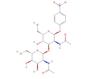 GalNAc beta(1-3)GlcNAc-beta-pNP (CAS 1456553-26-6) - chemical structure image