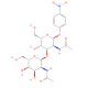 GalNAc beta(1-3)GlcNAc-beta-pNP (CAS 1456553-26-6) - chemical structure image