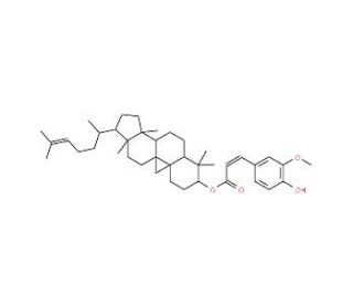 &gamma;-Oryzanol (CAS 11042-64-1) - chemical structure image