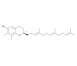 γTocotrienol CAS 14101612 SCBT Santa Cruz Biotechnology