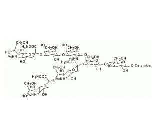 Ganglioside GT1b, Trisialo, Triammonium Salt - chemical structure image