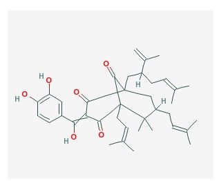 Garcinol (CAS 78824-30-3) - chemical structure image