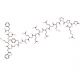 Gastrin-1, rat - chemical structure image