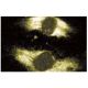 Gemin2 Antibody (4) - Immunofluorescence - Image 60596