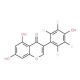 Genistein-2′,3′,5′,6′-d4 (CAS 187960-08-3) - chemical structure image