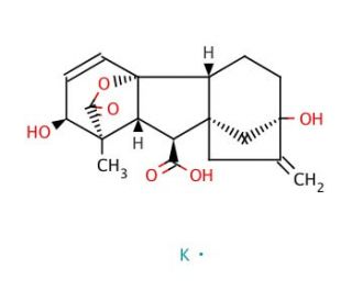 Gibberellic acid potassium salt (CAS 125-67-7) - chemical structure image