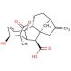 Gibberellin A7 (CAS 510-75-8) - chemical structure image