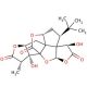 Ginkgolide A (CAS 15291-75-5) - chemical structure image