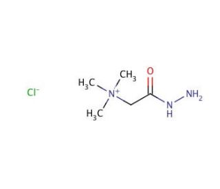 Girard&prime;s reagent T (CAS 123-46-6) - chemical structure image