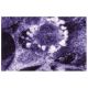 GIT1/2 Antibody (13) - Immunofluorescence - Image 60602 