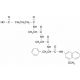 Glutaryl-Ala-Ala-Phe-4-methoxy-β-naphthylamide - chemical structure image