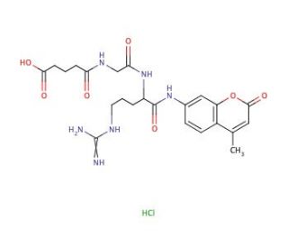 Glutaryl-glycyl-L-arginine 7-amido-4-methylcoumarin hydrochloride (CAS 103213-40-7) - chemical structure image