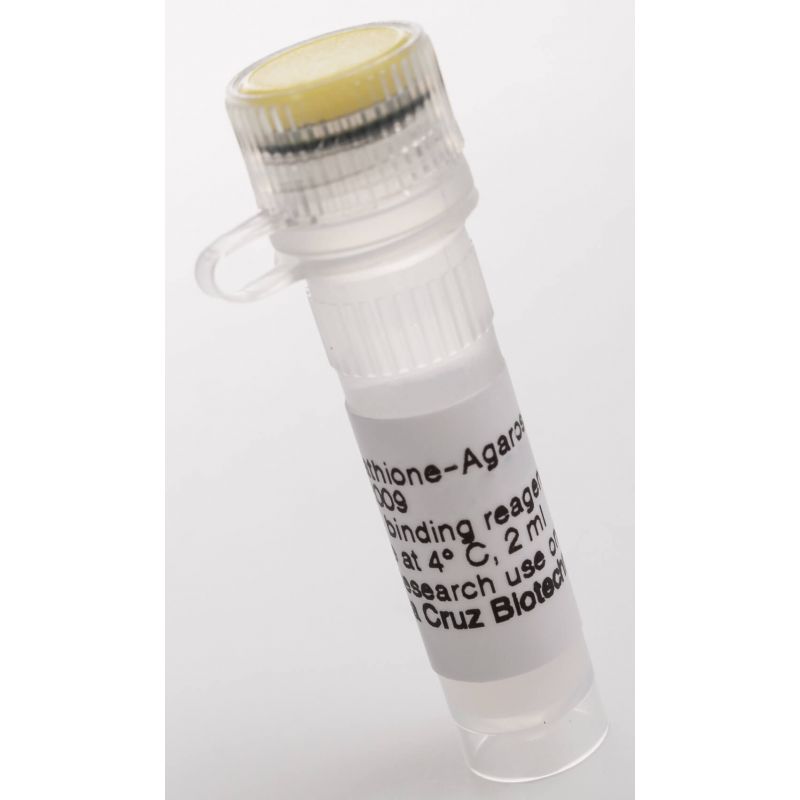 glutathione benefits for covid Glutathione-Agarose | SCBT