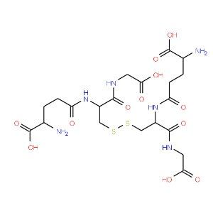 glutathione hormone Glutathione Disulfide-13C4,15N2 | CAS 27025-41-8 (unlabeled) | SCBT