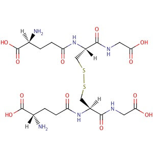 Glutathione, oxidized | CAS 27025-41-8 | SCBT