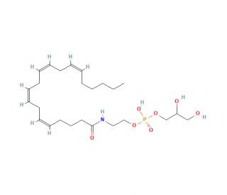 Glycerophospho-N-Arachidonoyl Ethanolamine (CAS 201738-25-2) - chemical structure image