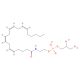 Glycerophospho-N-Arachidonoyl Ethanolamine (CAS 201738-25-2) - chemical structure image