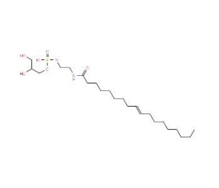 Glycerophospho-N-Oleoyl Ethanolamine (CAS 201738-24-1) - chemical structure image
