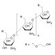 Glycol chitosan (CAS 123938-86-3) - chemical structure image