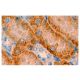 GnRH II Antibody (D-9) - Immunohistochemistry - Image 2457 