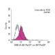 HEB (A-20): sc-357. Indirect, intracellular FCM analysis of fixed and...
