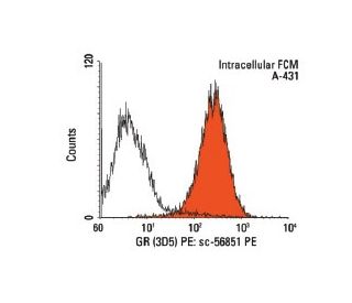 GR/NR3C1/Glucocorticoid Receptor Antibody (3D5) - Flow Cytometry - Image 141197