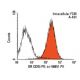GR/NR3C1/Glucocorticoid Receptor Antibody (3D5) - Flow Cytometry - Image 141197