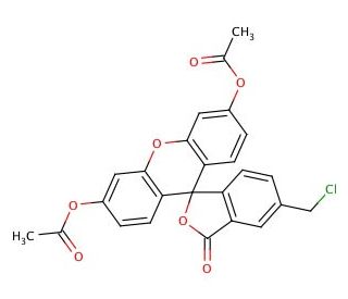 Green CMFDA | CAS 136832-63-8 | SCBT - Santa Cruz Biotechnology