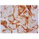 GS1 Antibody (D-7) - Immunohistochemistry - Image 285735 