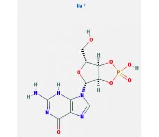 Guanosine 2&prime;,3&prime;-cyclic monophosphate sodium salt (CAS 15718-49-7) - chemical structure image